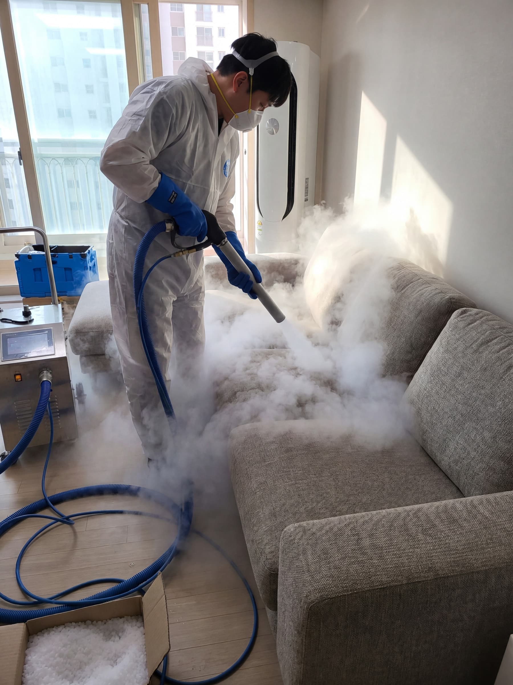 Traitement de désinsectisation par cryogénie — punaises de lit éliminées sans produit chimique